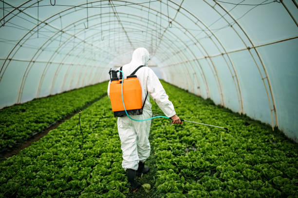 Trusted Milford, IA Pest Control Experts