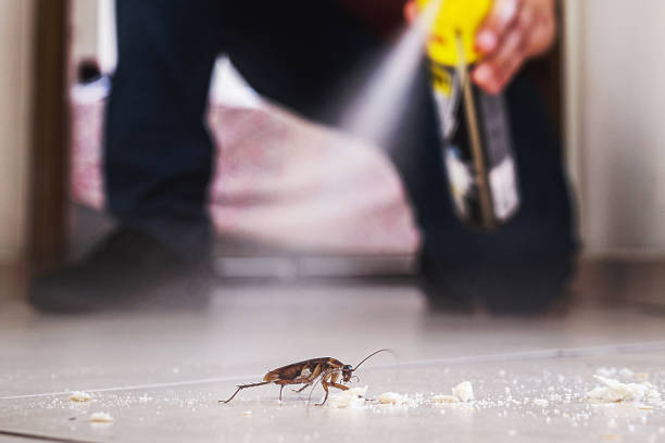 Best Pest Control for Businesses  in Milford, IA