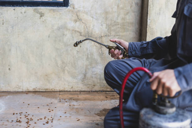 Best Termite Control Services  in Milford, IA